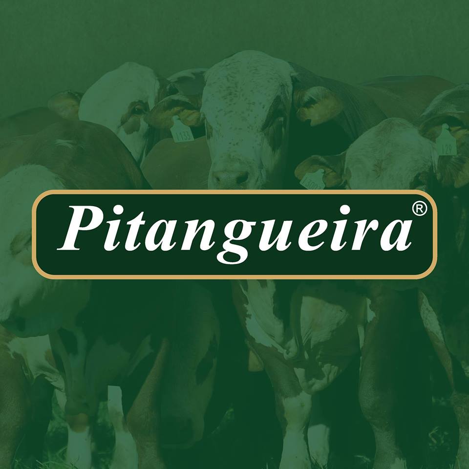 (c) Pitangueira.com.br